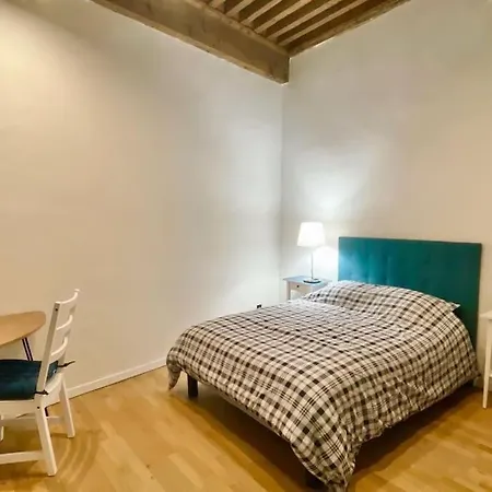 Apartment Petit Marin Hyper Centre Lyon